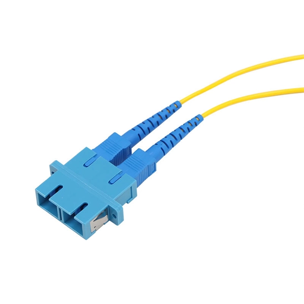 Customized PoE Switches in Indonesia