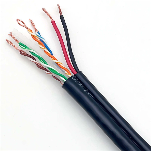 Core switch performs a long ping