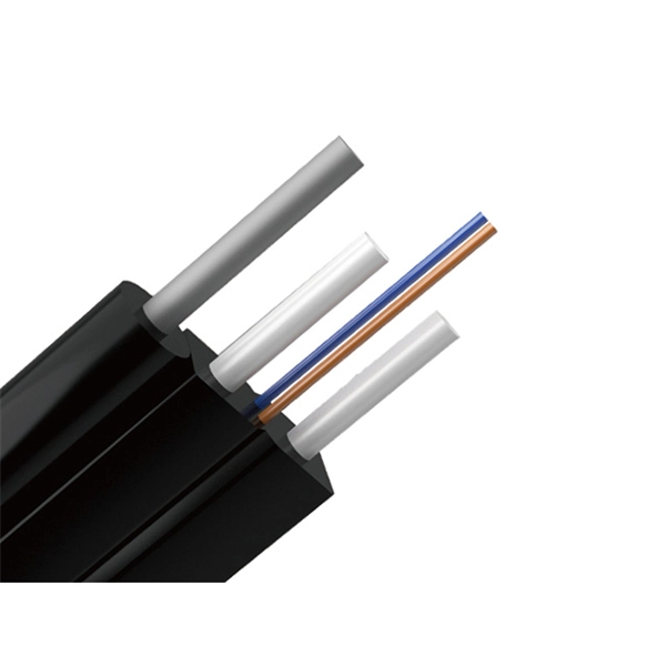 Paraguay Optical Switch 25G